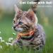 Shop Airtag Cat Collar - Reflective Neck Band with Holder & Bell for Kittens & Puppies | Safe Stylish & International Shipping Available - Buy Online on GoSupps.com