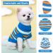 Shop Lynine Blue Striped Dog Sweater Warm Soft Comfortable Knit Sweater for Small Dogs & Cats Perfect Winter Apparel - Buy Online on GoSupps.com