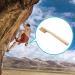 Premium Rock Climbing & Bouldering Brush - Ultra Durable Boar's Hair Bristles, Ergonomic Handle - Indoor/Outdoor Use - CJ-CB2028B - Buy Online on GoSupps.com