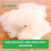 Longdan Rice Vermicelli ((Pack 1) 1.2mm 400g) - Buy Online on GoSupps.com