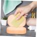 COOLHIYA Plastic Container pp soap draining rack household soap holder container travel Outdoor Fruit Dryer travel case water filter Toiletries sponge soap dish with lid Storage Box As Shown 7x10.5x3.5cm - Buy Online on GoSupps.com