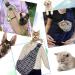 Buy Natuya Dog Carrier Bag | Hands-Free Pet Carrier for Dogs & Cats (5-15 lbs) - Khaki - Buy Online on GoSupps.com