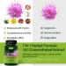 Silymarin Milk Thistle Liver Detox Capsules for Fatty Liver Alcachofa y Cardo Mariano con Silimarina para el Higado Graso Liver Cleanse Detox & Repair Formula w/Artichoke Extract. 120Count Milk Thistle 120 Count (Pack of 1) - Buy Online on GoSupps.com