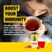 Tiesta Tea Immunity Rooibos Tea Fireberry 1.7 Ounce by Tiesta Tea - Buy Online on GoSupps.com