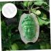 Parliky Fruits Forming Mould Vegetable Ginseng Buddha Shaped Fruit Multi-use Fruits to Play with Gourd - Buy Online on GoSupps.com