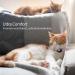 Apple AirTag Cat Neck Band - Light Tracker for Kittens & Puppies 7-9 inch (Rose) | Secure Your Pet! - Buy Online on GoSupps.com