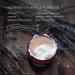 FARMSTEAD APOTHECARY Lemon Lavender Face Cream 4 OZ - Natural Skincare Solution - Buy Online on GoSupps.com
