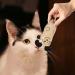 jiuhao Cat Catnip Toys 3 Pack Interactive Cat Teeth Cleaning Plush Toys for Indoor Cats Kitten- Cat Scratch Chewing Teeth Grinding Catnip Pillow Toys Fish-1 - Buy Online on GoSupps.com