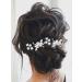 Silver Crystal Flower Bride Wedding Hair Pins - Pack of 2 | Bridal Hair Accessories for Women and Girls - Buy Online on GoSupps.com