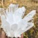 NAKOUULF Natural White Quartz Crystal Cluster Specimen Suitable for Home HOMEZHOU (Size : 250-300g) - Buy Online on GoSupps.com