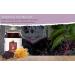 Organic Elderberry Sea Moss Gel 16oz - USDA Certified, Wildcrafted from Saint Lucia - Made in The USA - Buy Online on GoSupps.com