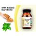 Gymnema & Fenugreek Capsules - Natural Blood Sugar Support - Buy Online on GoSupps.com