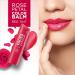 Color Lip Balm - Rose Petal 03 | 12HR Moisture SPF 15 Hydrating Shea Butter & Vitamin E | Nourish Dry Lips - Buy Online on GoSupps.com