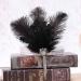 IYOU Black Feather Flapper Headpiece Sparkly Crystal Gatsby Headband Rhinestone Costume Wedding Hair Accessories for Women - Buy Online on GoSupps.com