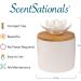 ScentSationals Ceramic Flower Essential Oil Diffuser - Passive Wicking Home Fragrance for Living Room & Bedroom - Aromatherapy Diffuser for Essential Oils - Lyle - International Shipping - Buy Online on GoSupps.com