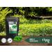 Gotu Kola Extract Powder | 10% Asiaticoside | 200g | High-Dose Vegan Supplement | Additive-Free | Made in Germany - Buy Online on GoSupps.com