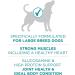 Purina ONE +Plus Large Breed Dry Dog Food with Chicken - 7 kg Bag & +Plus Dry Cat Food Urinary Tract Formula Chicken - 1.8 kg Bag 7 kg (Pack of 1) Dry Dog Food+ Dry Cat Food - Buy Online on GoSupps.com