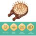 Multifunctional Wooden Massage Hair Brush & Scalp Cushion Portable Comb for Home & Travel - Buy Online on GoSupps.com