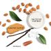 ESW Beauty Smoothie Lip Treatments - Advanced Hydration & Smoothness | Vanilla Almond Butter - International Shipping Available - Buy Online on GoSupps.com