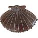 Delicate colorful shell hair nails for women girls hair clips non slip hair clips for long hair delicate travel hair clips big hair nails clips thick hair nails for women anti slip hair purple - Buy Online on GoSupps.com