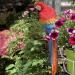Garden Outdoor Decorative Resin Craft Simulation Parrot Decoration Ornaments Outdoor Garden Parrot Pendant Bird Animal Sculpture Decor Ornament - Buy Online on GoSupps.com