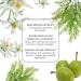 Biba de Sousa Plant Stem Cell Peptide Serum - Intense Repair & Hydration with Hyaluronic Acid & Antioxidants (1oz) | Youthful Glow eCommerce - Buy Online on GoSupps.com
