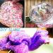 DECORA 14 Case Nail Art Fruit Slice Soft Clay Decoration for Slime DIY Crafts - Assorted 3D Slice - Buy Online on GoSupps.com