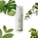 Buy Green Tea & Hyaluronic Acid Anti-Aging Serum - 1 oz | Nourish & Revitalize Skin - Free International Shipping - Buy Online on GoSupps.com