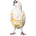 YUYUSO Pigeon Dove Diaper Pants with Leash | Comfortable & Secure Solution - Buy Online on GoSupps.com