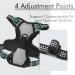 Rabbitgoo No Pull Dog Harness for Small & Large Dogs - Adjustable Breathable Anti-Training Reflective Stripes Safe Guidance - Gray XS (1 Pack) - Buy Online on GoSupps.com
