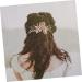 FRCOLOR Hair Comb Bride Hair Accessories Formal Hair Accessories for Women Flower Hair Accessories Hanfu Hair Accessories Aesthetic Hair Accessories Fairy Jewelry for Women - Buy Online on GoSupps.com