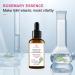  Linsition Rosemary hair oil hair care - Anti-hair loss 30 ml of natural essential oil nourishes the scalp improves scalp circulation stimulates growth - Buy Online on GoSupps.com
