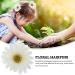 Beaupretty 12pcs Sunflower & Daisy Hair Clips - Hawaiian Beach Alligator Hair Accessories for Women & Girls - Buy Online on GoSupps.com
