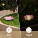 Osaladi 3-Piece LED Lotus Lantern - Artificial Flowing Flowers for Pool Pond & Garden Decoration - Buy Online on GoSupps.com