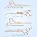 Jason Professional Dog Cup Set - 6 in 1 Fur Scissors for Dogs | 7 Straight Curved Chunker & Thinning Scissors with Ergonomic Handle Rose Gold - Buy Online on GoSupps.com
