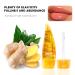 Ginger Mint Lip Glaze - Moisturizing & Plumping Lip Care Essence for Dry Lips - Reduce Lines, Enhance Shine - Female Lip Gloss for Sexy, Plump Lips - Buy Online on GoSupps.com