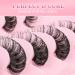 Buy Natural Russian D Curl Cat Eye False Eyelashes - 10 Pairs Handmade Fluffy Volume Lashes - International Shipping - Buy Online on GoSupps.com