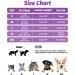 Fayogoo Cat Dishes - Breathable & Reflective Cat Bowls with Leash Modern Purple Outbreak-Proof Design (1 Pack) - Buy Online on GoSupps.com