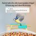 Birdfy Bird Feeder with Camera - AI Detection Video Recording & Solar Powered - Ideal for Wild Bird Feeding - Buy Online on GoSupps.com