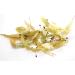Linden Flowers 250g by Villa Nostrum - Buy Online on GoSupps.com