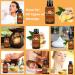 Ginger Oil Lymphatic Drainage Massage (5 Pack) - 100% Natural Plant Aroma Oil for Belly Drainage - Arnica & Grapeseed Massage Oil - Buy Online on GoSupps.com