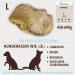 Petlove Chewing Root for Dogs - Natural Hypoallergenic Chewing Bones | Additive-Free Low-Calorie | Size L (450-699g) | Perfect for Larger Dogs - Buy Online on GoSupps.com