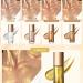 MEICOLY Liquid Body Illuminator 04 Glistening Bronze 40ml - Long Lasting & Waterproof Body Shimmer Oil for Glowing Skin - Buy Online on GoSupps.com