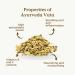 Ayurveda Tea Vata Organic 100g (50 Cups) | Herbal Loose Leaf Tea with Liquorice Ginger Cinnamom Fenugreek Cardamom Orange REPLANTEA - Buy Online on GoSupps.com