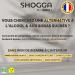 SHOGGA | Organic Ginger Concentrate 700 ml Premium Alcohol-Free Drink Made in France | 12 Antioxidant and Anti-Inflammatory Ingredients | Ginger Lemon Turmeric Kampot Pepper - Buy Online on GoSupps.com