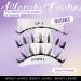 Magnetic Eyelashes with Applicator - No Glue Reusable Lightweight & Soft | 2 Pairs of Wispy Styles by Wendy Lashes (KS02/XM1 - Buy Online on GoSupps.com