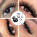SSKHE Magnetic Eyelashes without Eyeliner Reusable Dual Magnetic lashes false eyelashes magnetic Natural Look Magnetic Eyelashes No Glue 3D False Eyelashes Kit with Applicator Waterproof Easy to Wear - Buy Online on GoSupps.com