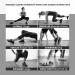 Xn8 Slide Fitness Discs - Core Training Gliding Discs for Home & Gym | Perfect for Carpet & Wooden Floors - Buy Online on GoSupps.com