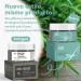 ANAI RUI Dead Sea Mud Mask with Tea Tree Oil & Salicylic Acid - Charcoal Blackhead Remover & Pore Cleanser for Acne-Prone Oily Skin - Detox Face Mask for Women and Men - 120g - Buy Online on GoSupps.com