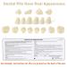 Dental Acrylic Resin Denture False Teeth Set | A2 T6 Synthetic Polymer Resin | Halloween DIY | 28 Pcs - Buy Online on GoSupps.com